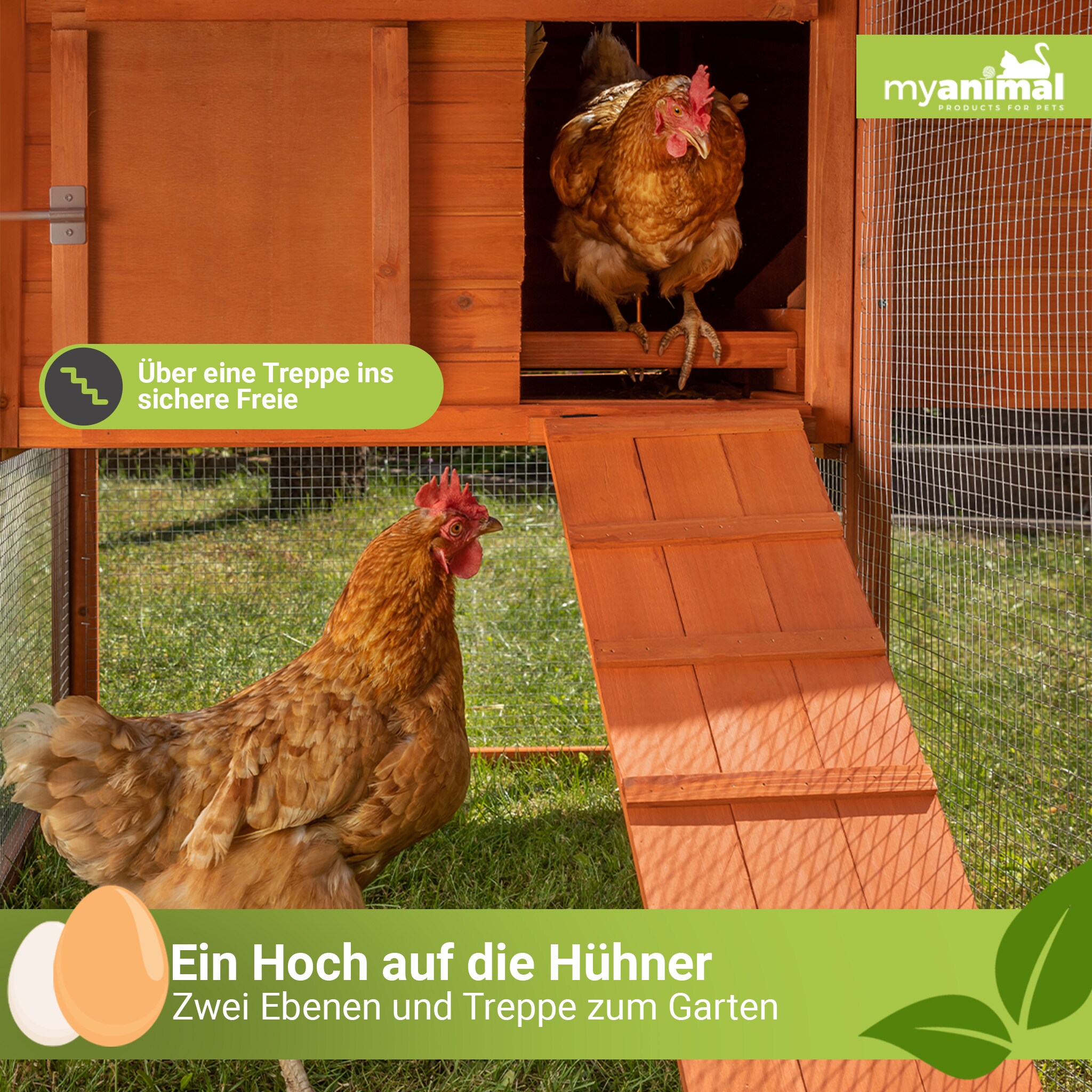 MyAnimal Hühnerstall XXL für 8 Hühner MH-22, Hühnerhaus mit zwei Nistkästen, Auslauf, zwei Ebenen (Braun 2.0)