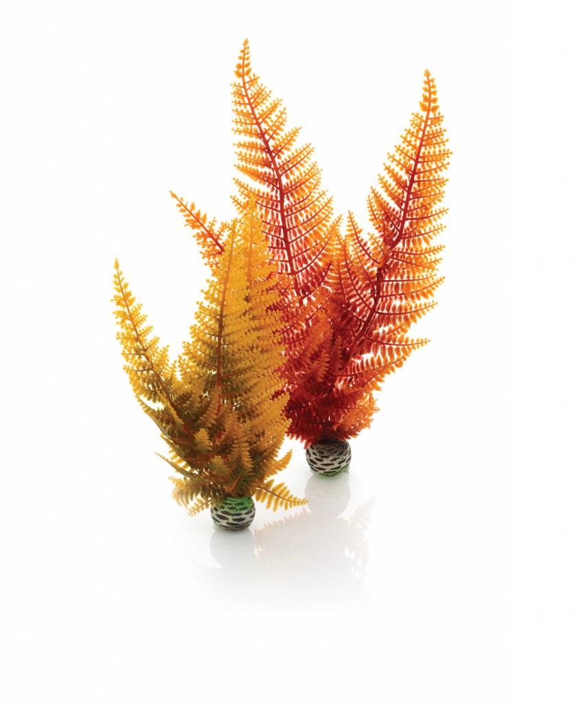 biOrb Easy plants 2x medium herfst varen