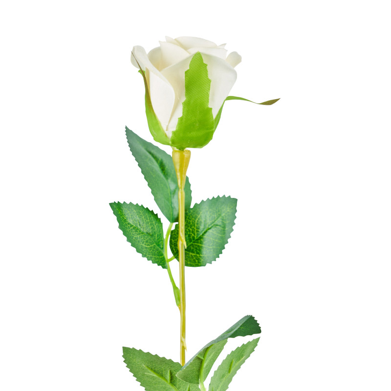 Roos wit - 56 cm