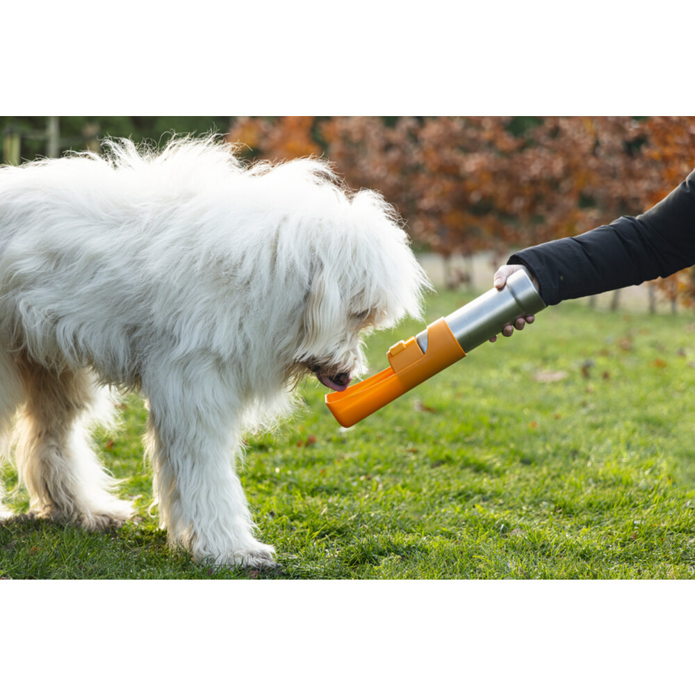Beeztees Loe Drinkfles Hond Roestvrij Staal Assorti532 ml