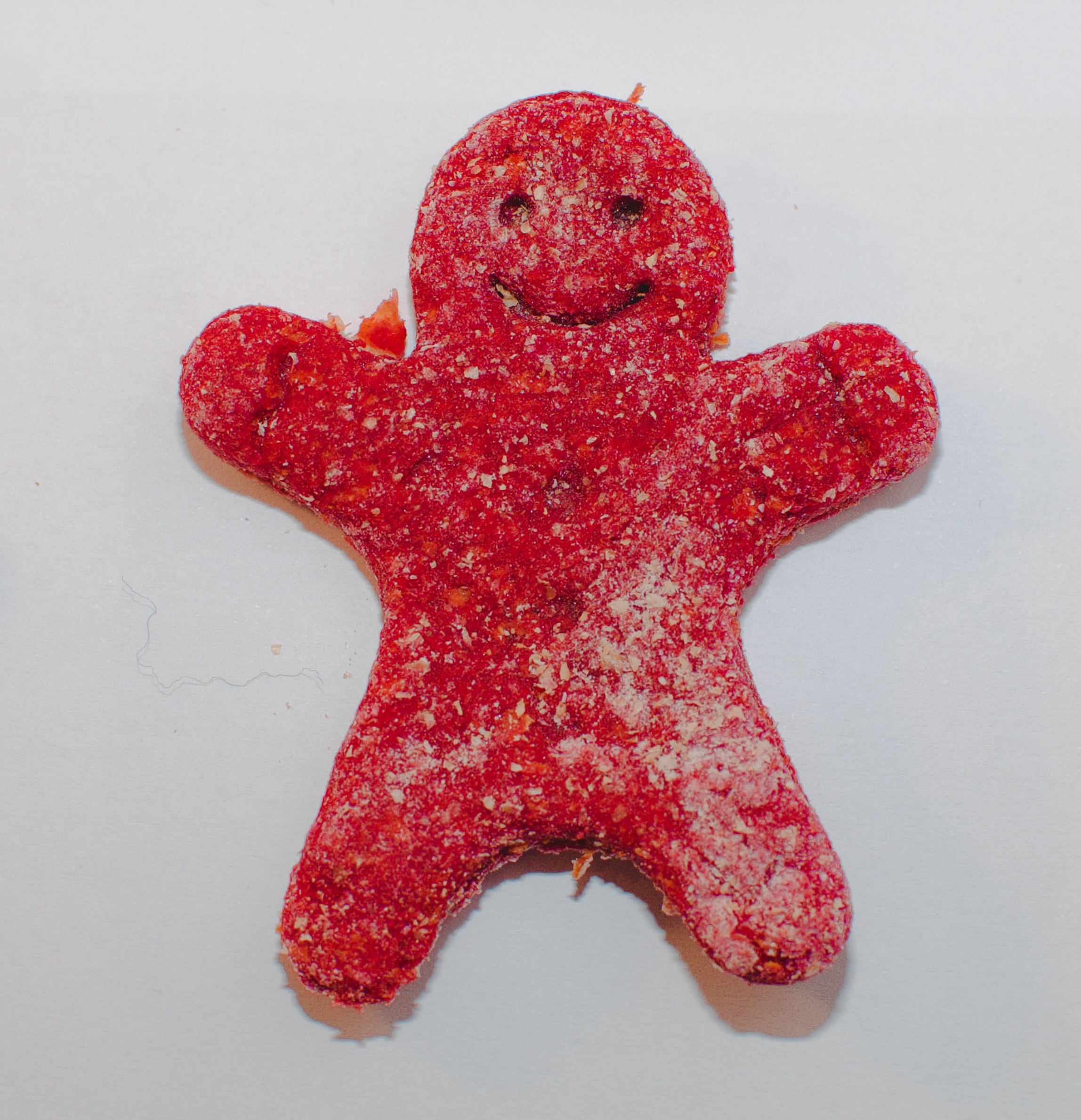 Biscoitos de Natal para Cachorros