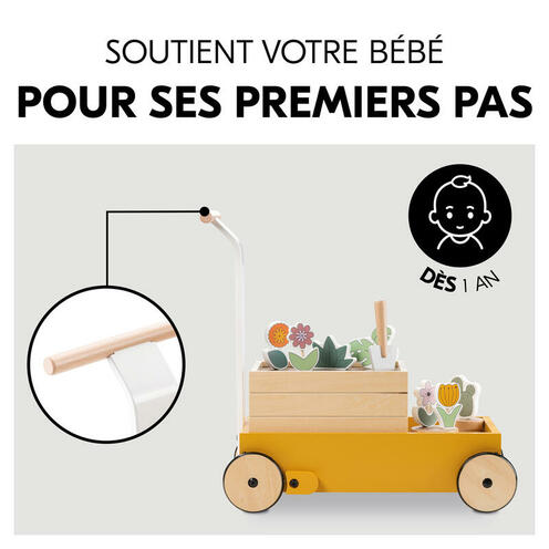 Trotteur jardinier Learn to walk - Bois - HAUCK