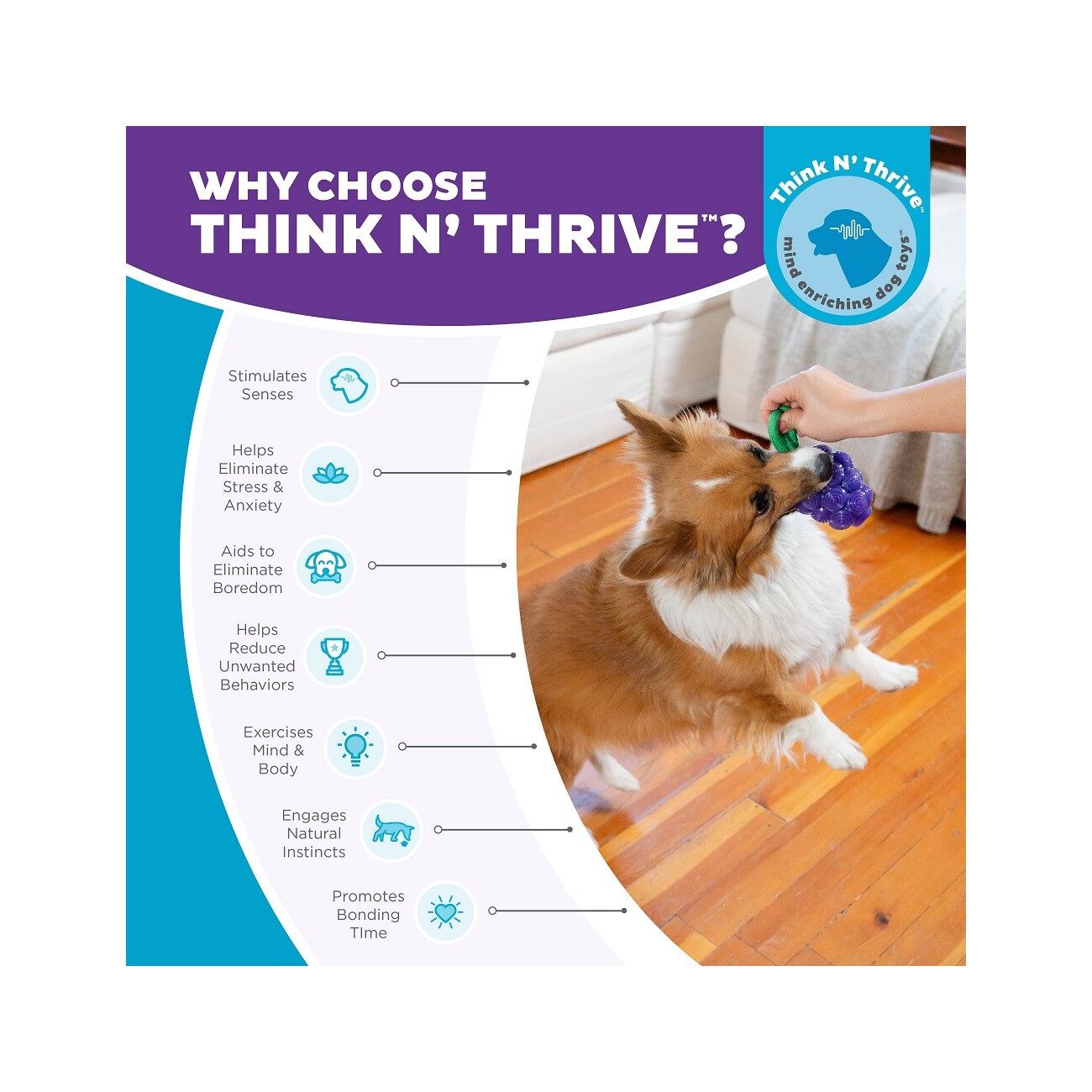 Planet Dog Dental Hundespielzeug