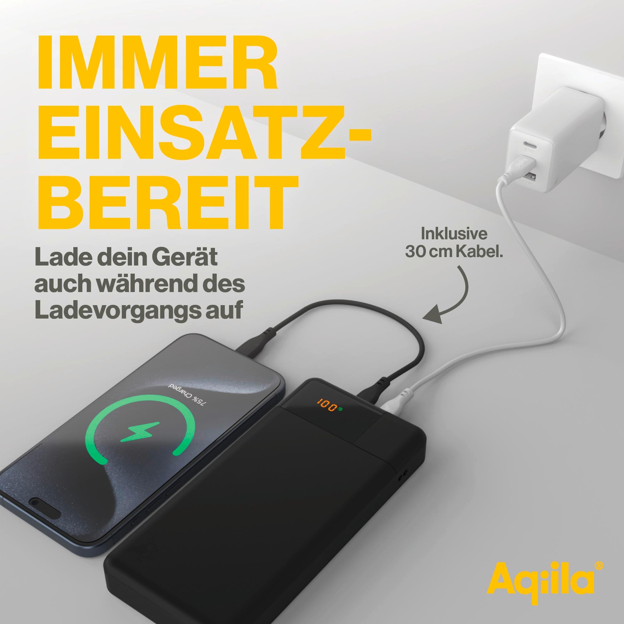 Aqiila Powerbird Powerbank 65 W 20000 mAh schwarz