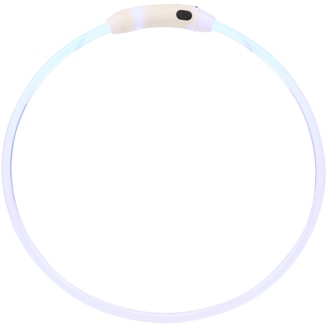 Collier LED rechargeable pour chien
