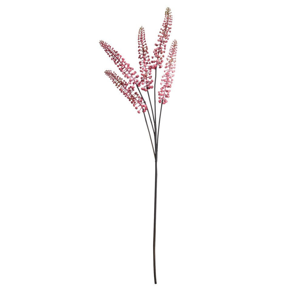 Bloem Phytolacca Roze