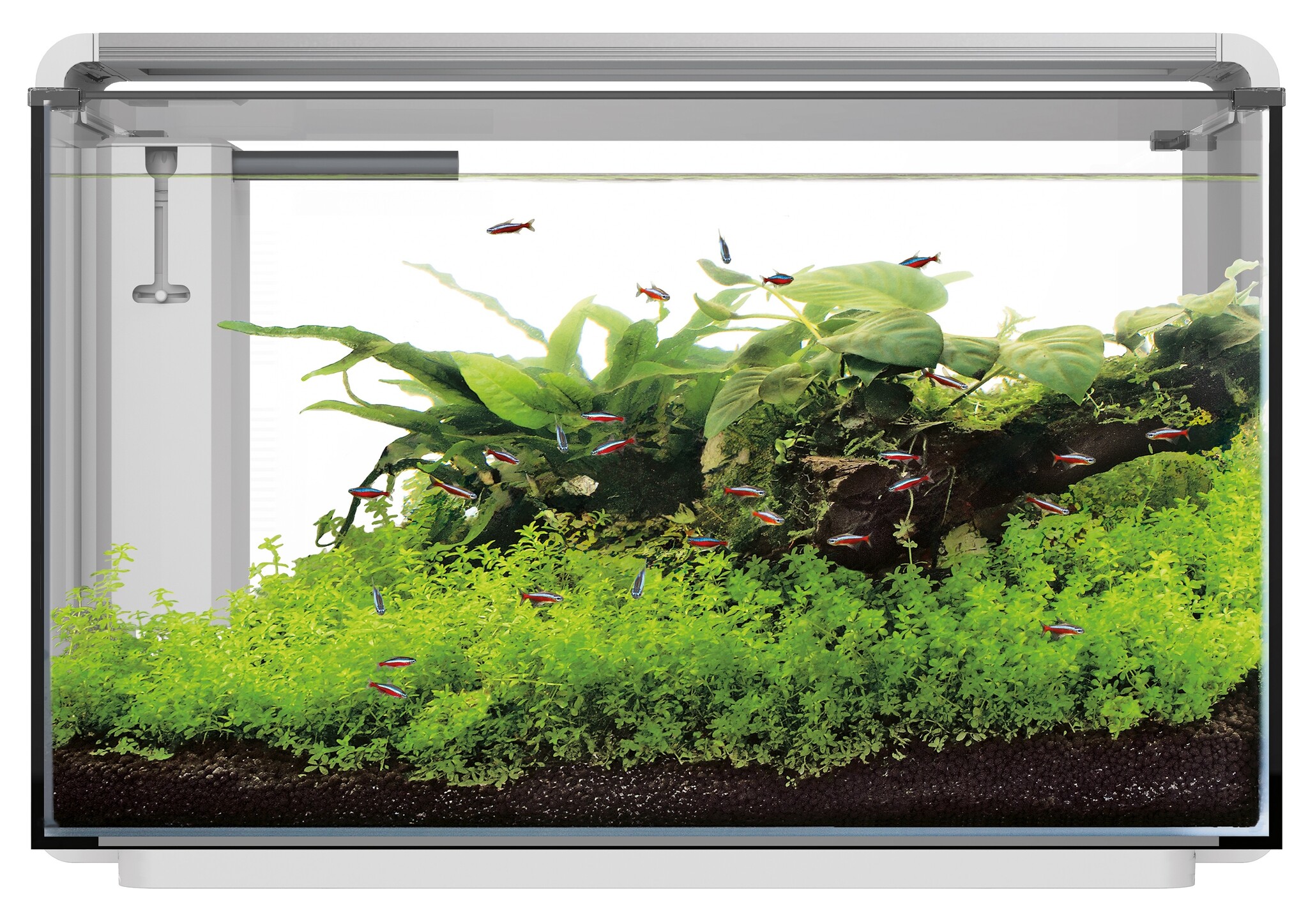 Home ProLED 85 Aquarium Wit