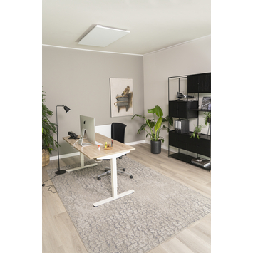 Eurom infraroodpaneel Mon Soleil 800 Plafond 120x70 cm glas