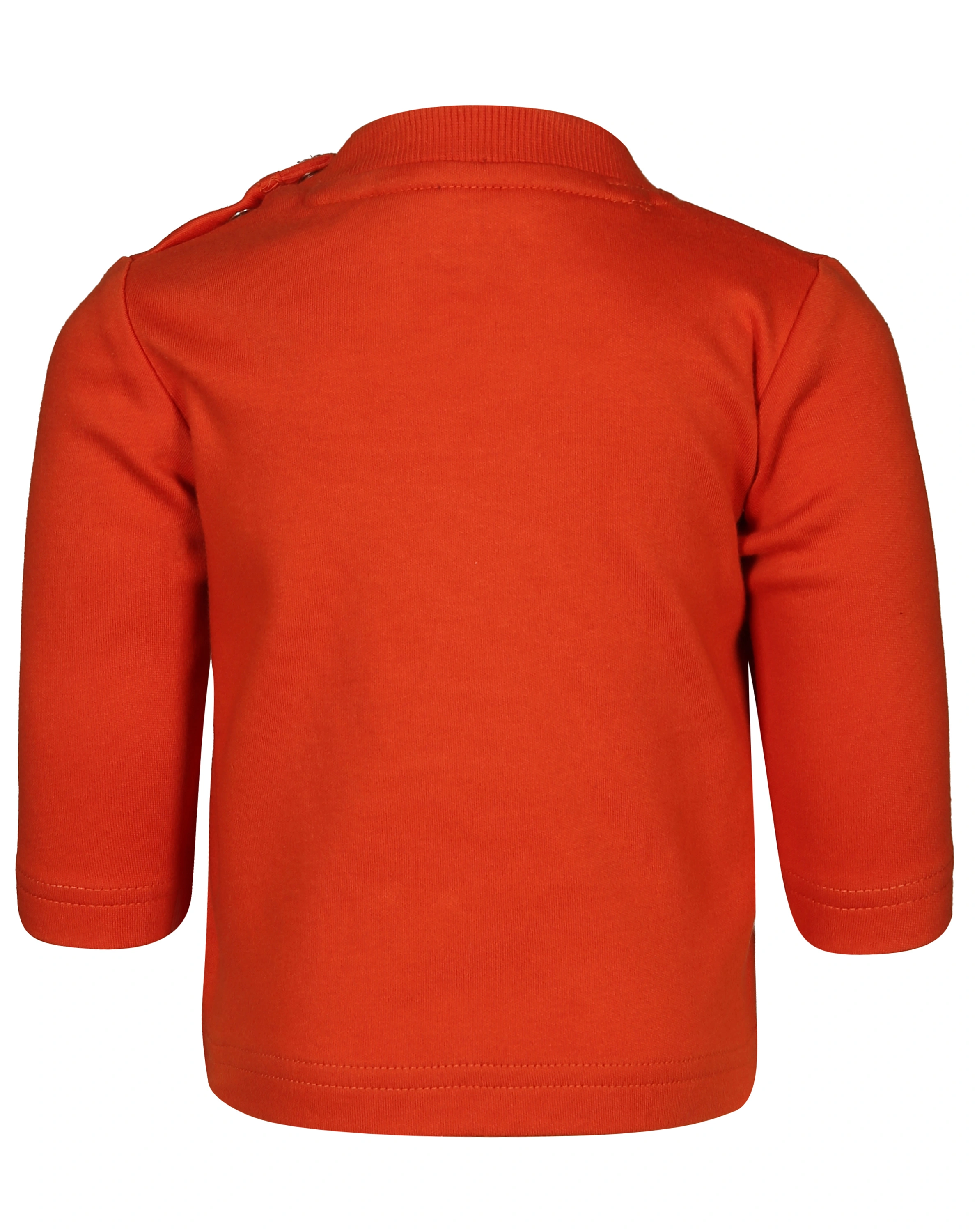 Langarmshirt HUND - BABY in orange