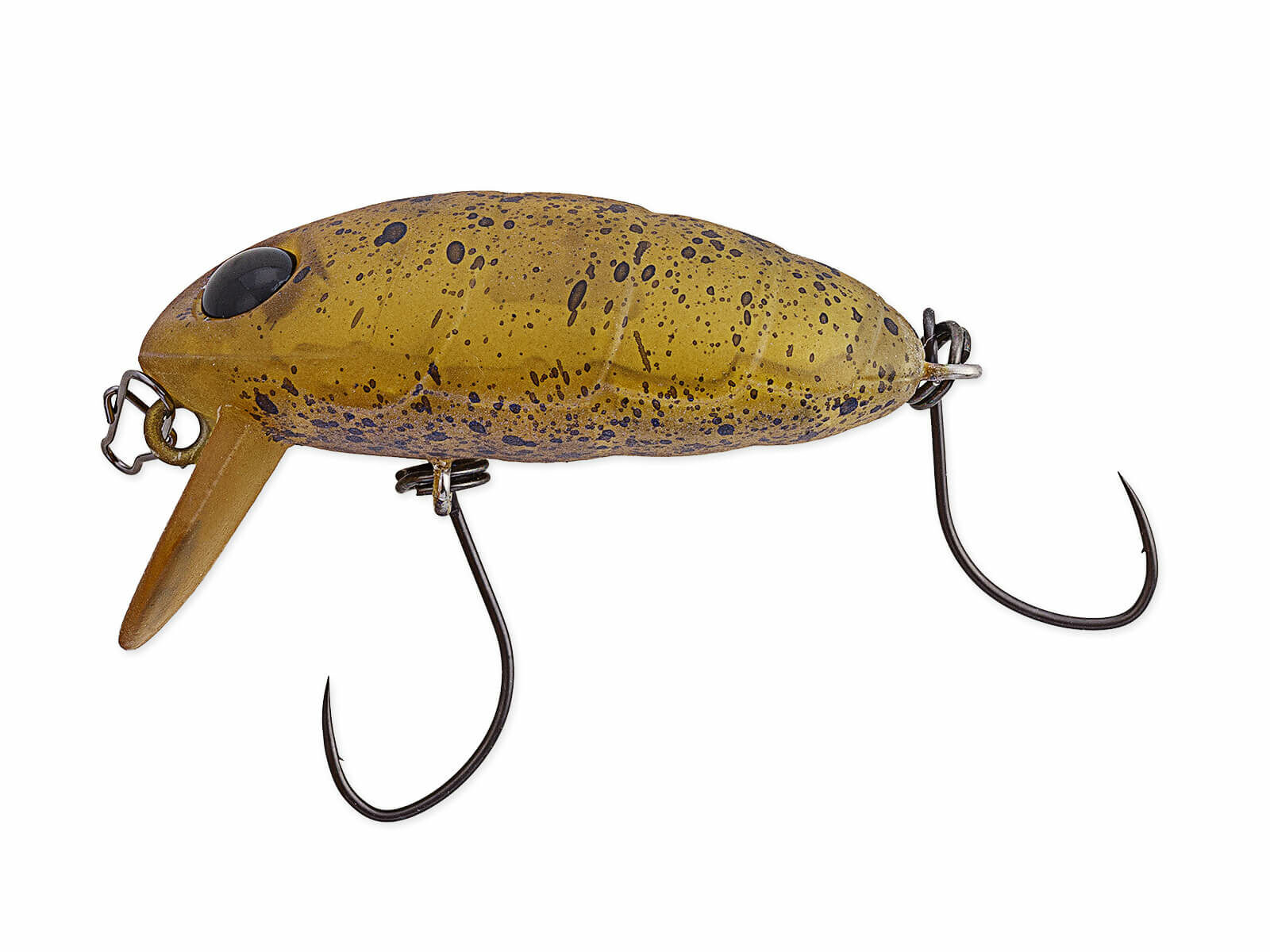 Crankin Boss Pupa Shallow (342M) Sand Paper(Nories)