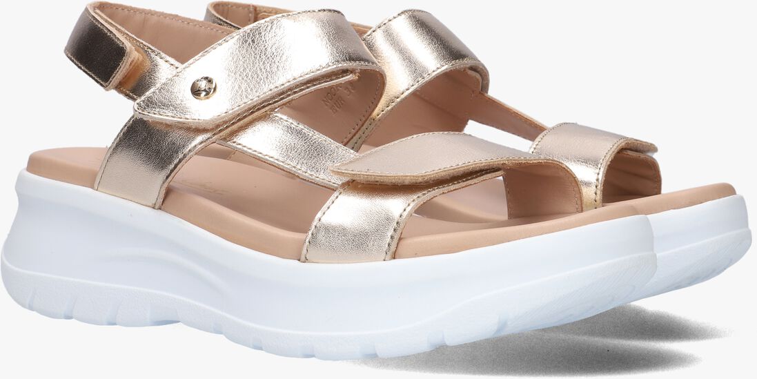 PANAMA JACK gouden panama jack sandalen noor