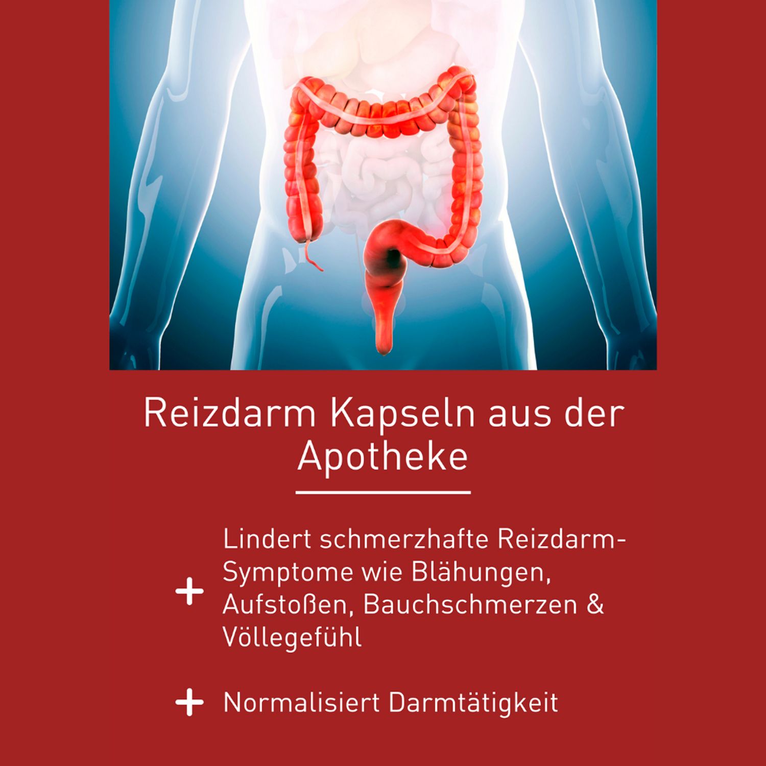 N1 Reizdarm Kapseln – lindert Symptome wie Blähungen, Schmerzen & Völlegefühl