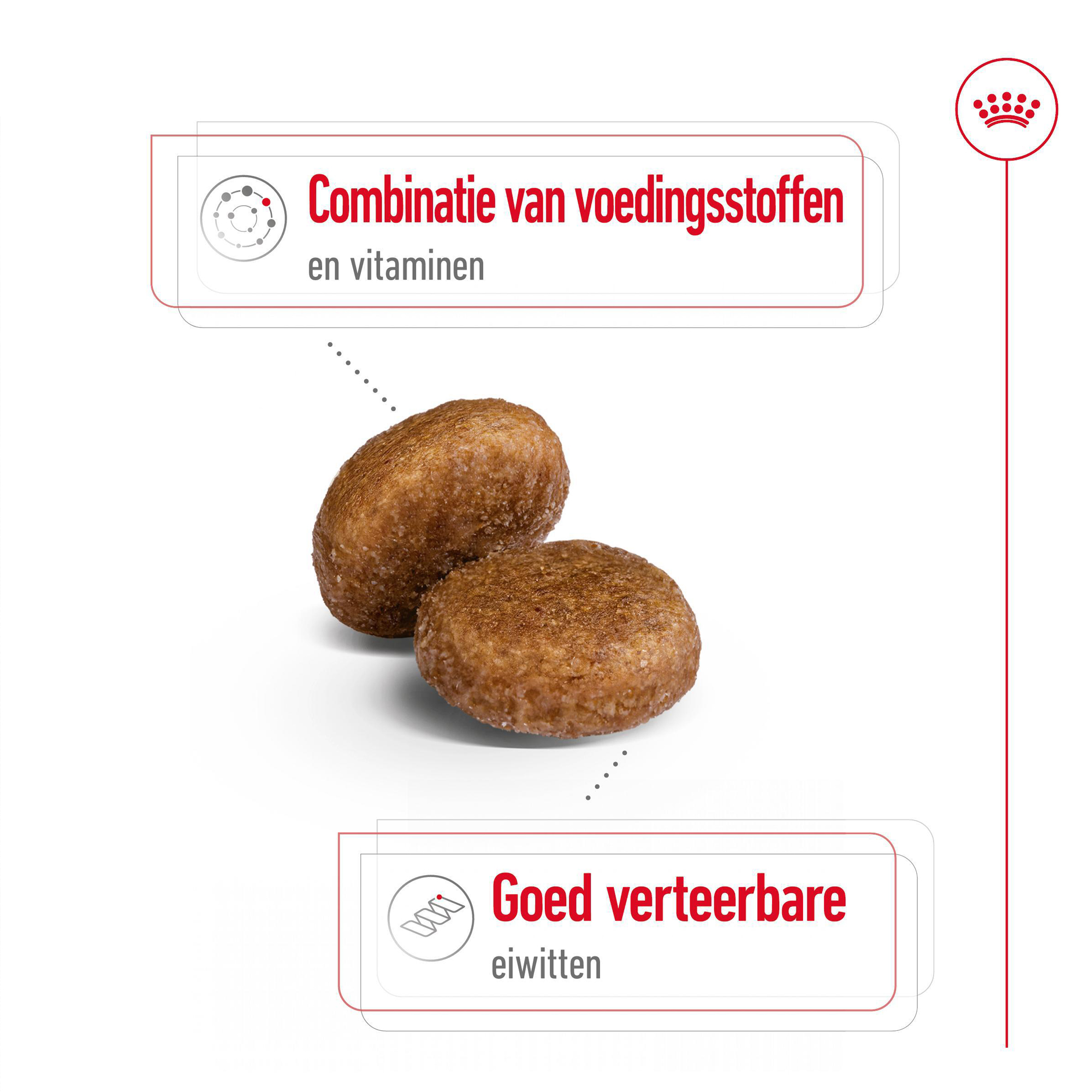 Royal Canin Maxi Adult 5+ - Hondenvoer
