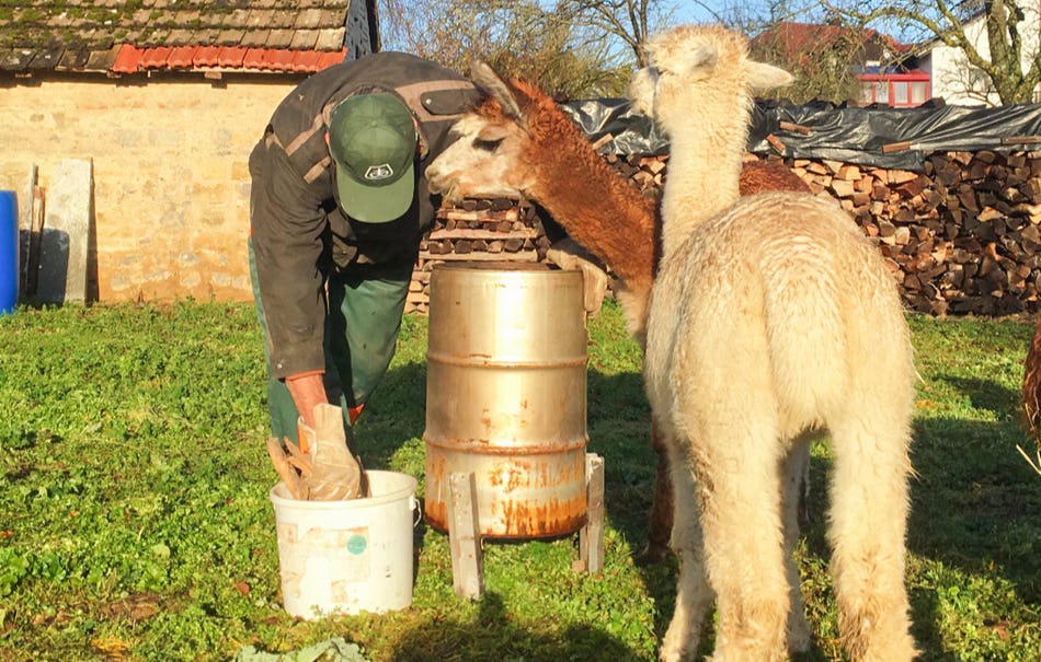 Alpaka Wanderung mit Glühweinempfang Arnstein