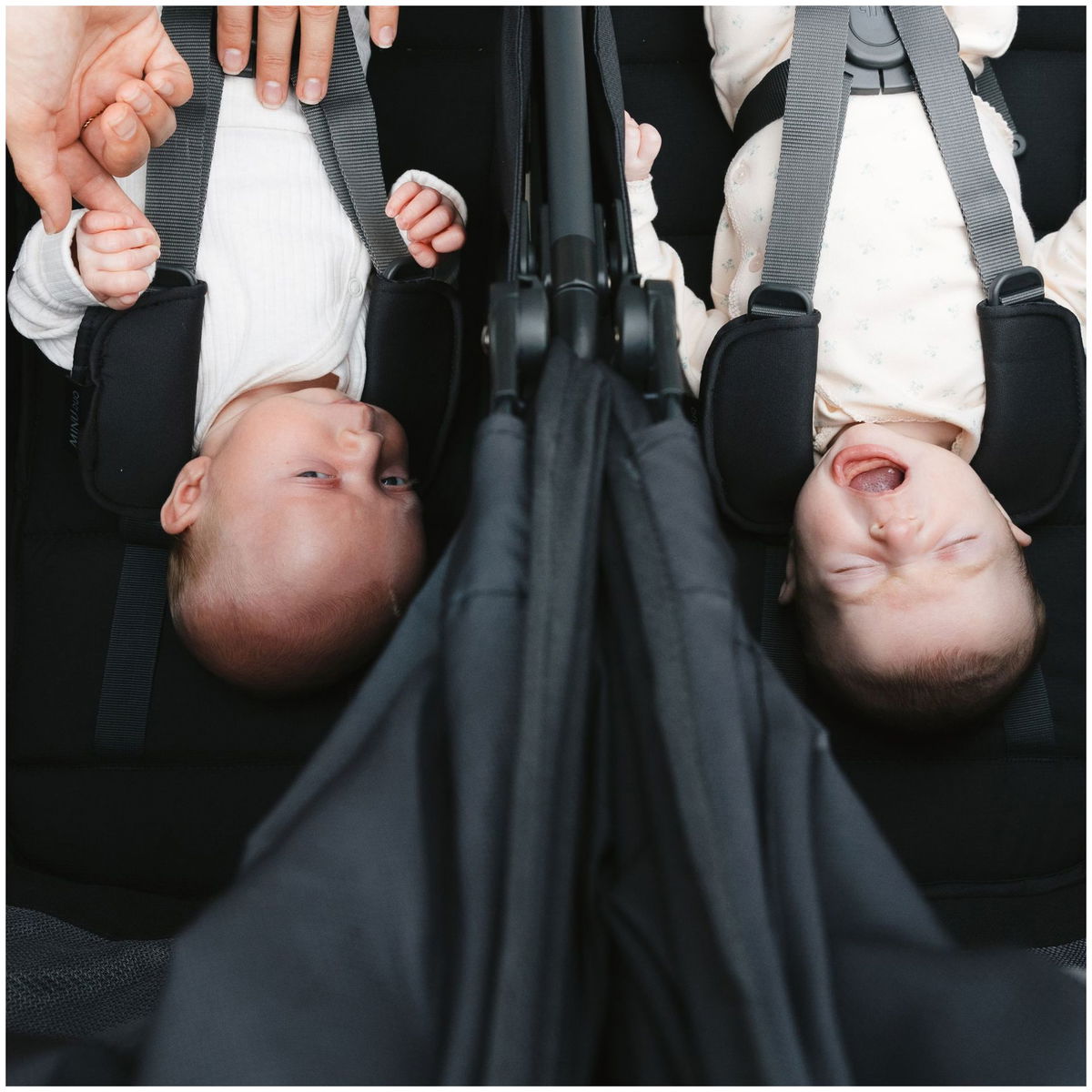UPPAbabyUPPAbaby   MINU Duo greyson
