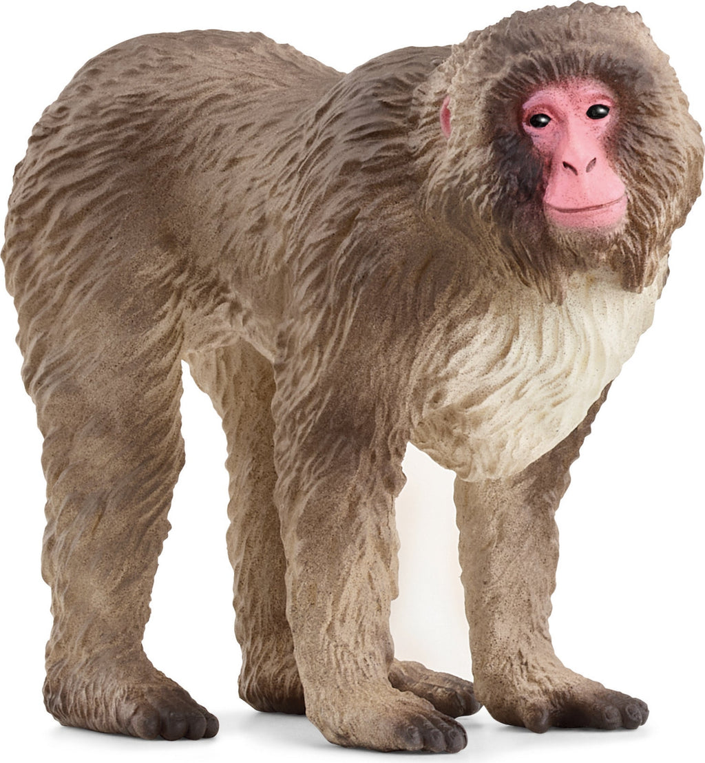 Macaco Japonês Schleich