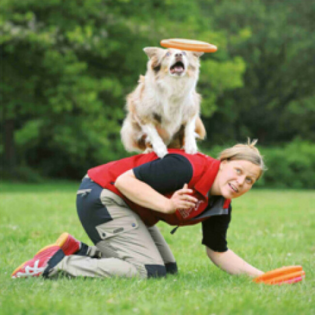 Jeu Dog Activity Dog Disc pour chiens Trixie