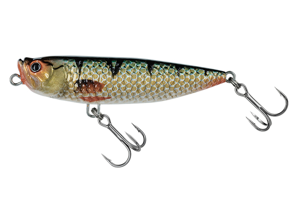 Leurre de Surface Molix WTD-65 Fat Rattlin' Série Tarpon, 6,5cm (6 g)