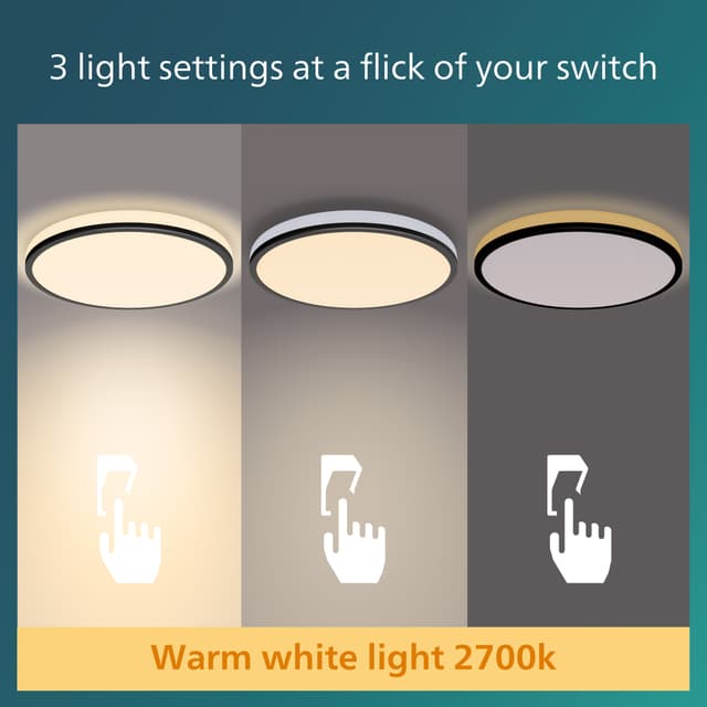 Philips Ozziet loftslampe 36W (sort)