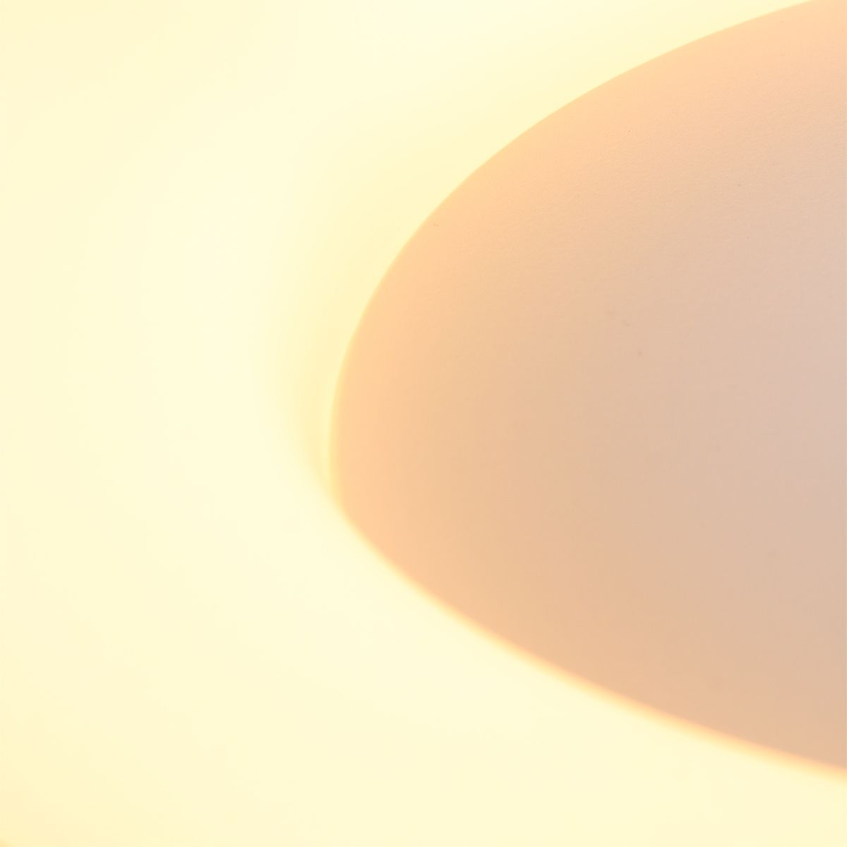 Plafondlamp 2562ZW Ringlede ⌀38  x H9 cm