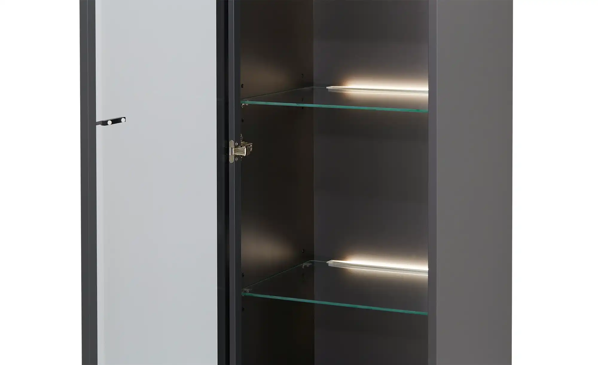 Hängevitrine Light Line 10