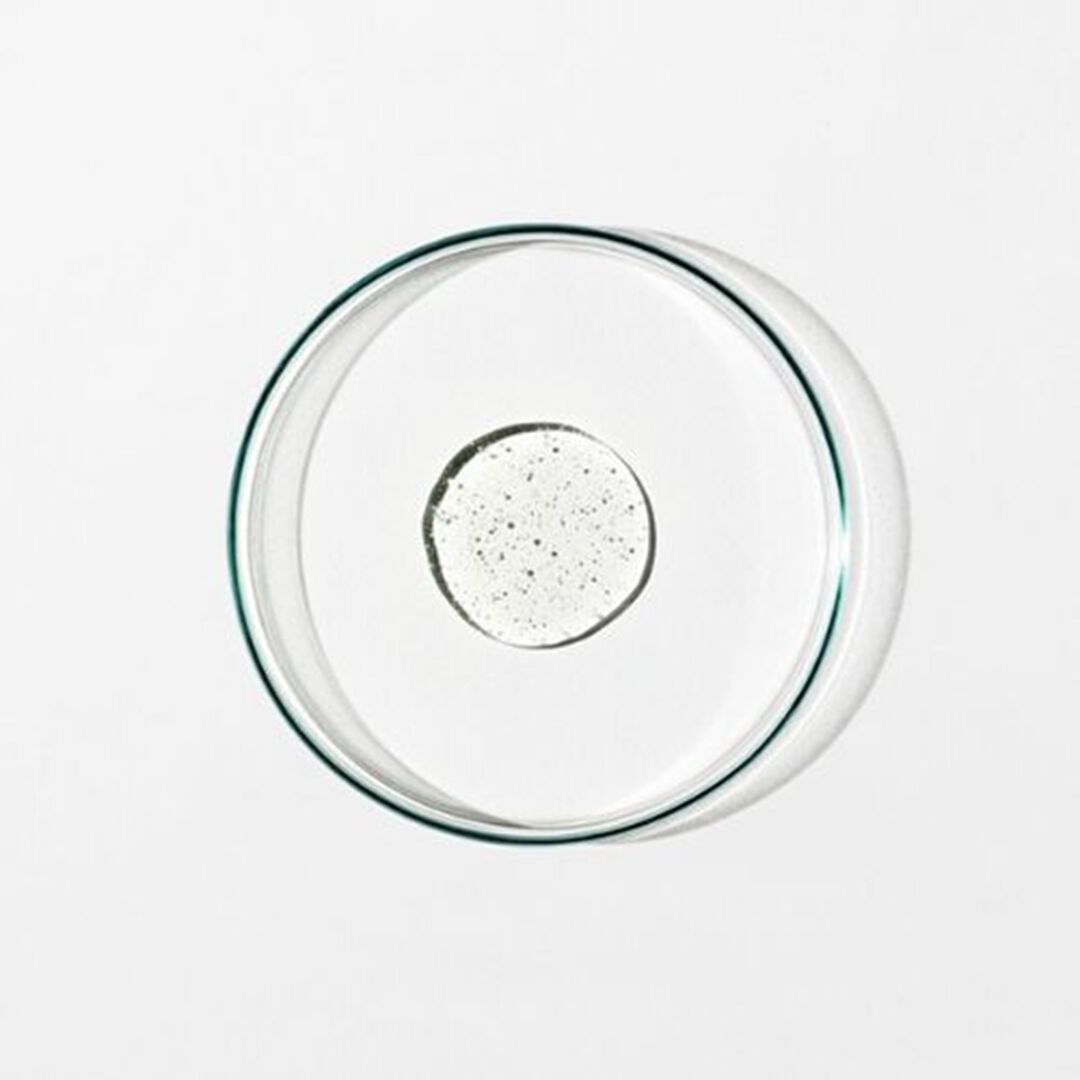 Body Cleanser: Chamomile, Bergamot, Rose - 50ml