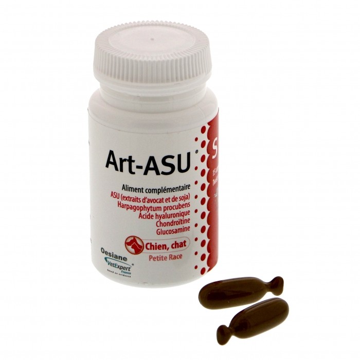 Art-ASU