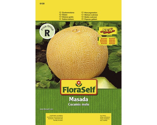 Cantaloupe 'Masada' FloraSelf F1 Hybride Groentezaden