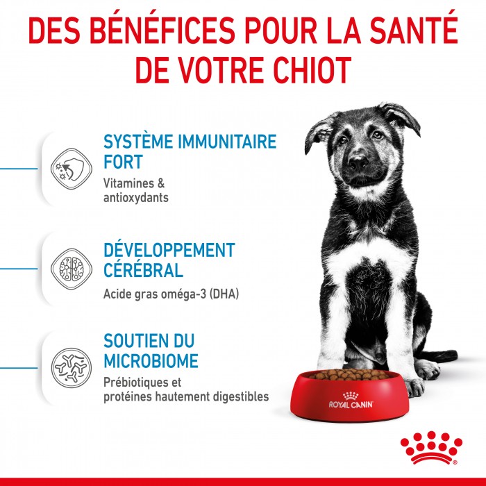 Royal Canin Maxi Puppy - Croquettes pour chiot