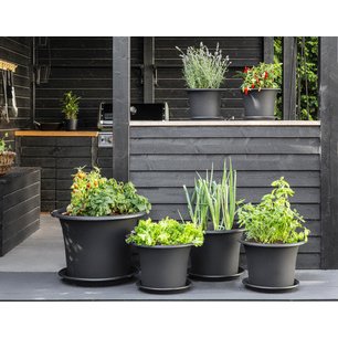 Pot de fleurs rond Botanica