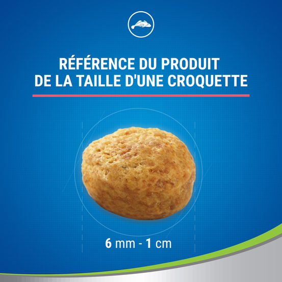 Friandises au Saumon pour Chat - 40g