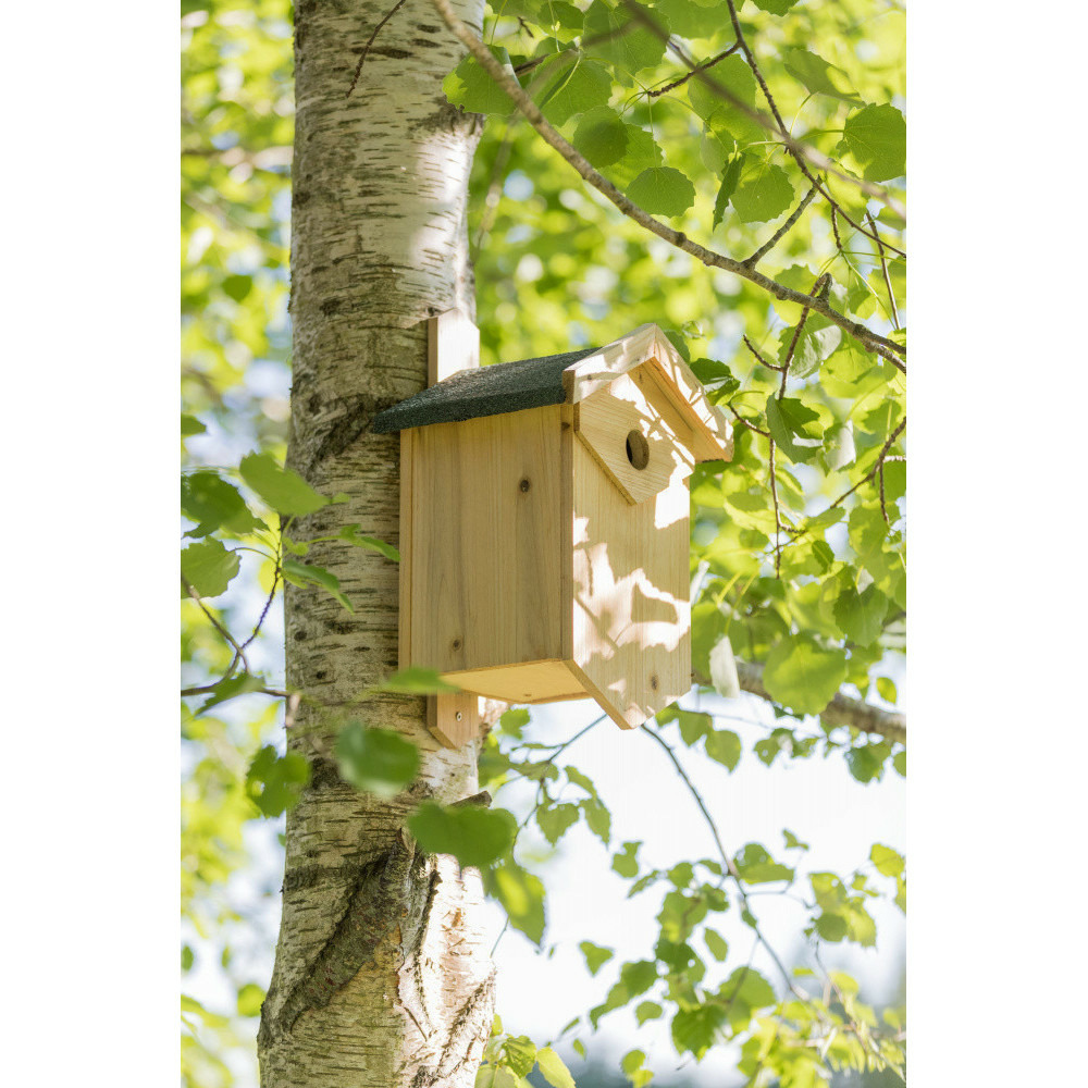 Nichoir pour les oiseaux nichant dans les cavités. Dimensions: 25 × 40 × 22