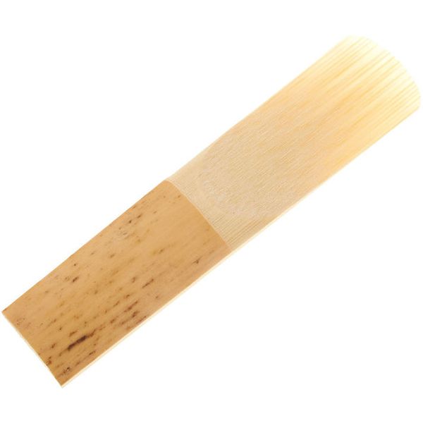 Daddario Woodwinds Royal Alto Sax 2
