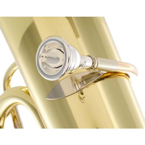 B&S 3099/2/W-L (PT-10) F-Tuba