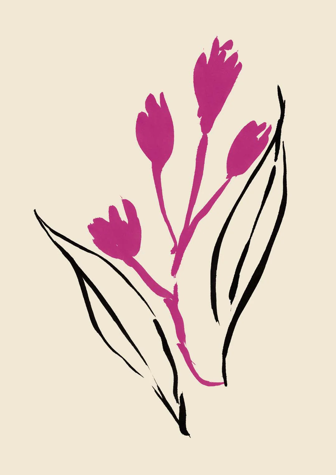 Magenta und schwarze Linien