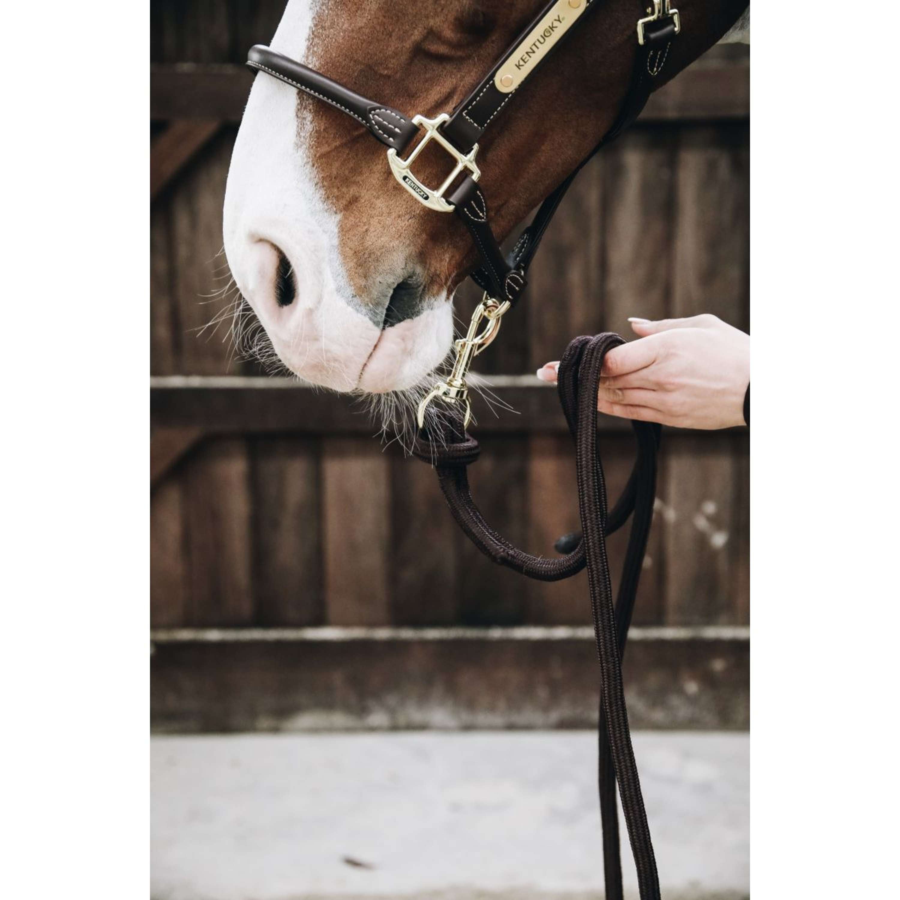 Kentucky Halstertouw Loop Brown