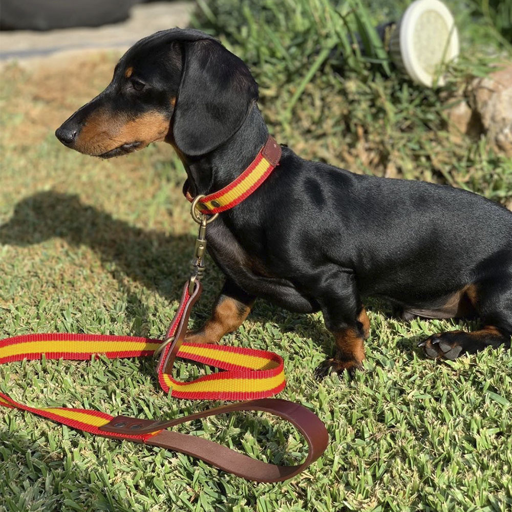Guia Barking Gaucho, feita à mão na Espanha, para cães.