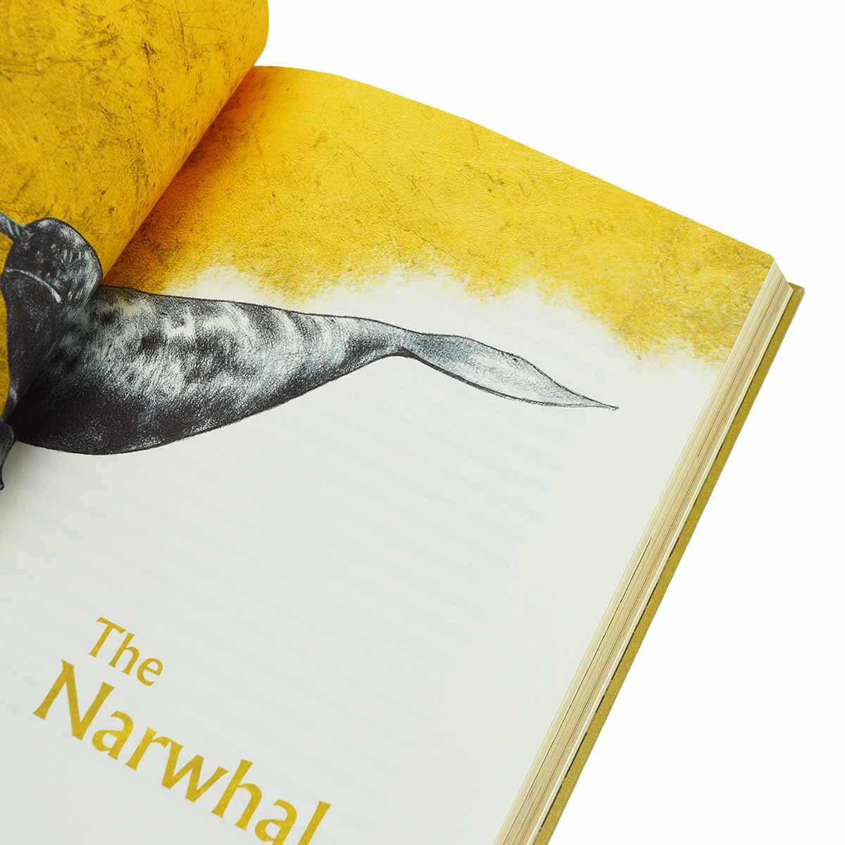 The Golden Mole: and Other Living Treasure: Signed Edition (Hardback)