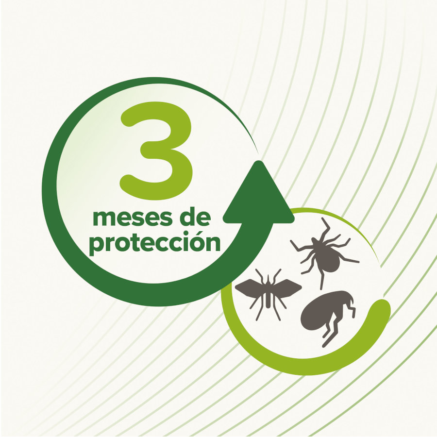 Coleira repelente para cães Beaphar