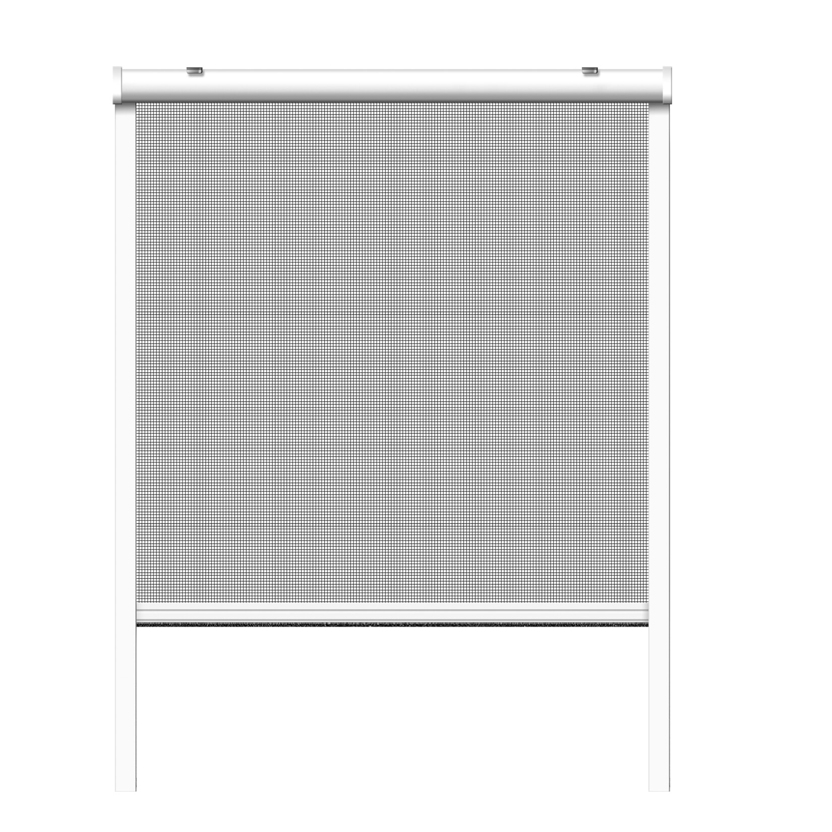 Schellenberg Insektenschutzrollo für Fenster, 100 x 160 cm, weiß