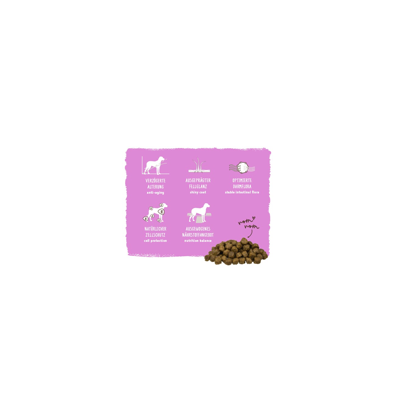 bosch Mini Senior Geflügel 2,5 kg