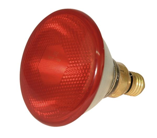 KERBL Infrarot Sparlampe PAR38
