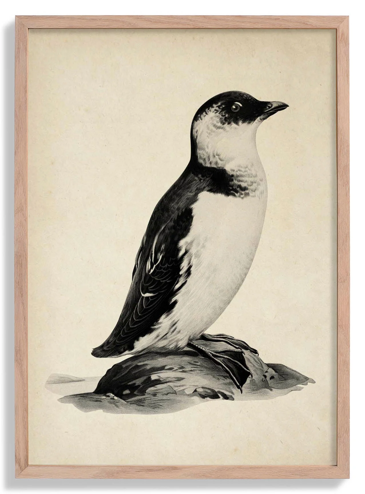 Antiker Pinguin