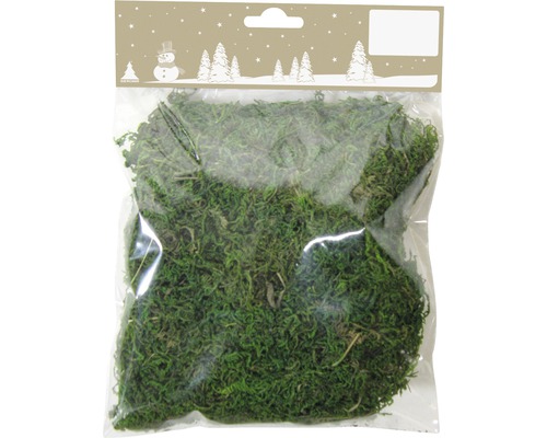Decoratief mos 30 g groen