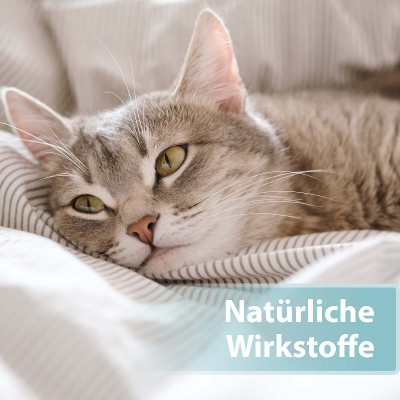 Felisept Hautpflegespray für Katzen 250ml