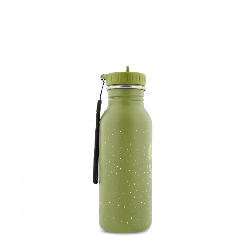 Gourde en acier inoxydable 500 ml Mr. Dino