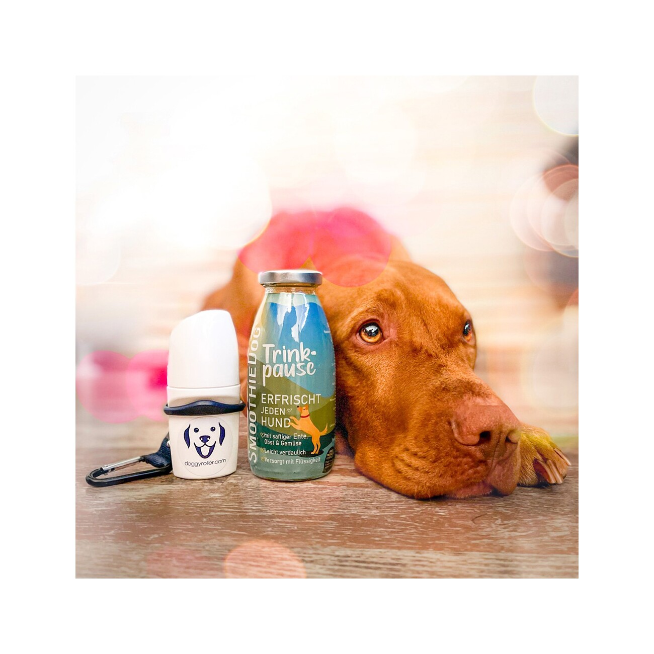 SmoothieDog Klassik + Doggyroller Blau Gr. M