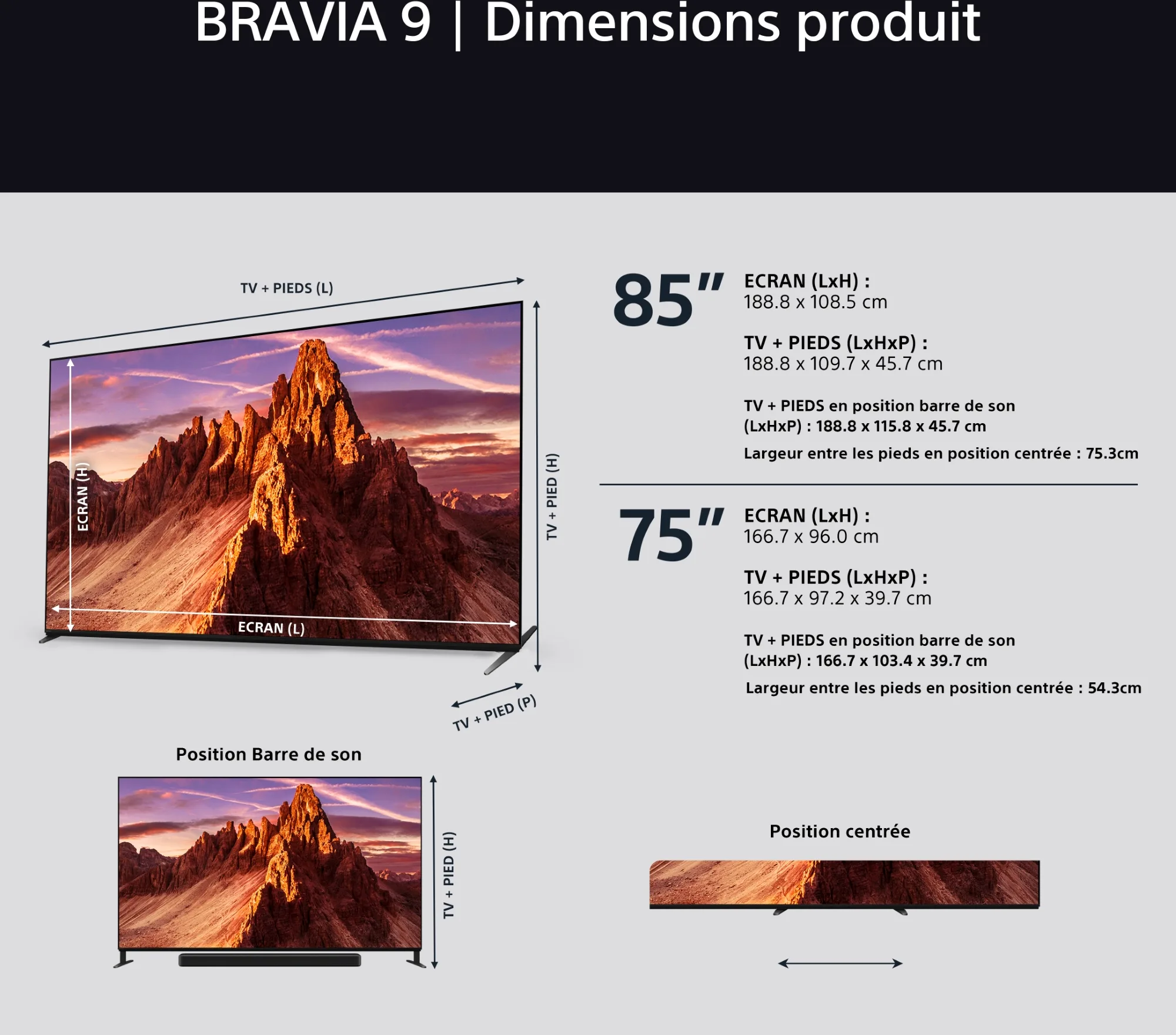 Sony 75 BRAVIA 9 (75XR90)   BRAVIA Theatre Bar 9   SA-SW5 TV UHD 4K