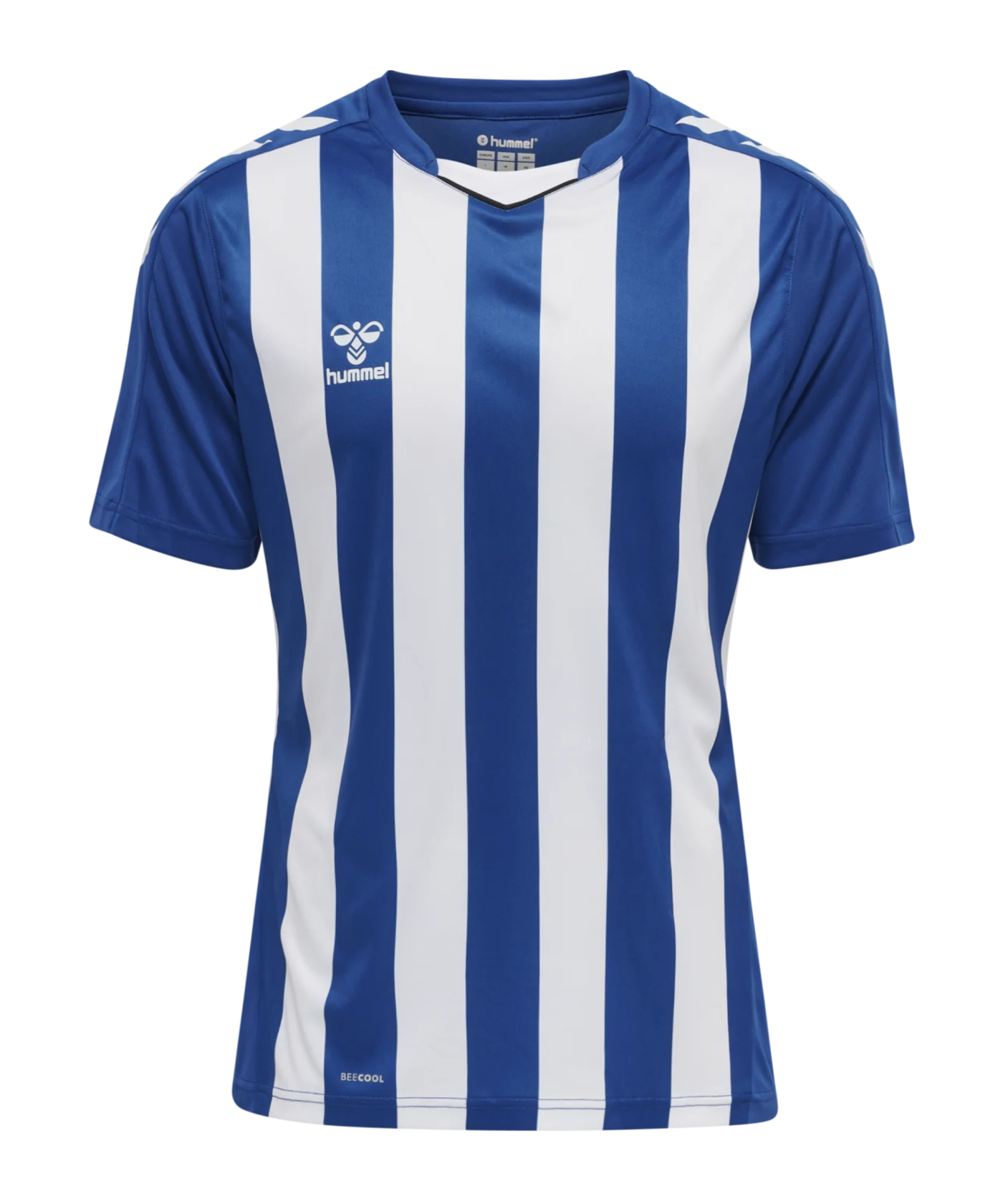 Hummel hmlCORE XK Striped Trikot Blau Weiss F7691