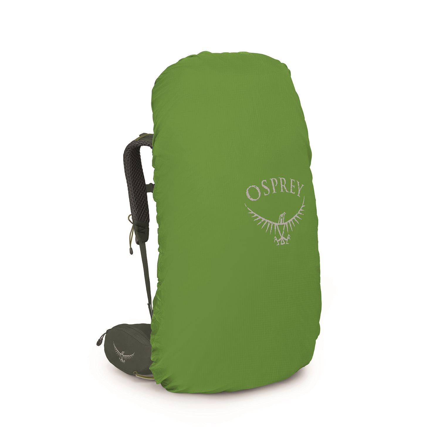 Osprey Kestrel 68 S/M bonsai green